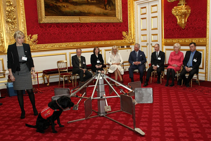 Medical Detection Dogs at St.James's Palace