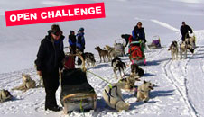 The Husky Trail Lapland