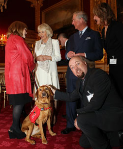 Bill Bailey meets Daisy