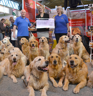 Souther Golden Retriever presentation