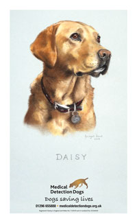 Tea Towel