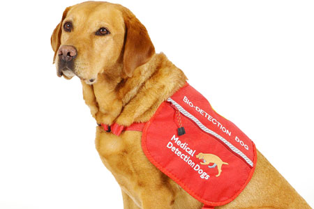 Fund a Cancer Detection Dog
