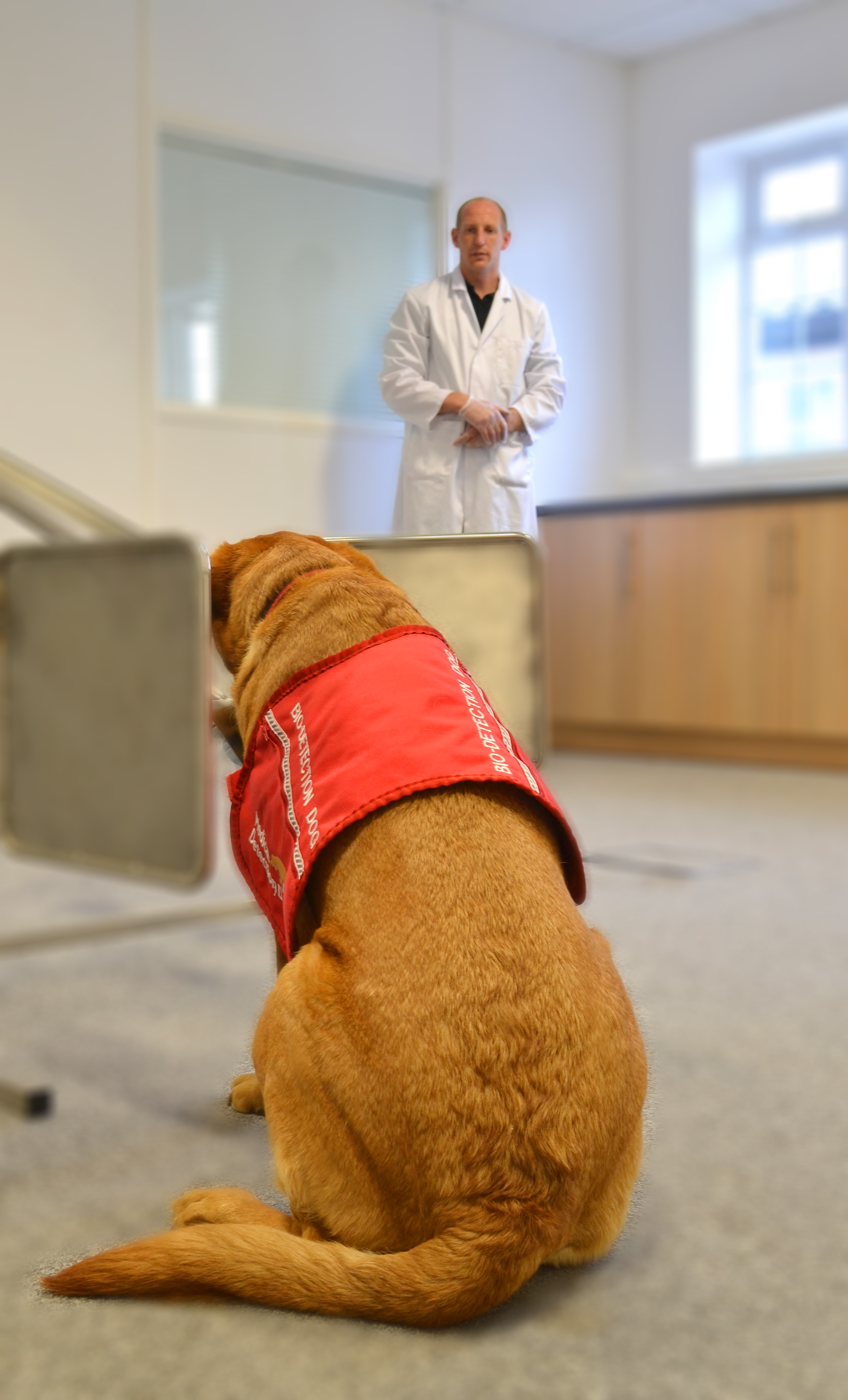 Rob Harris in the bio-detection room with Daisy