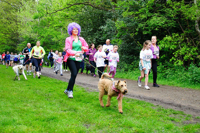 The Gerrard’s Cross Fun Run