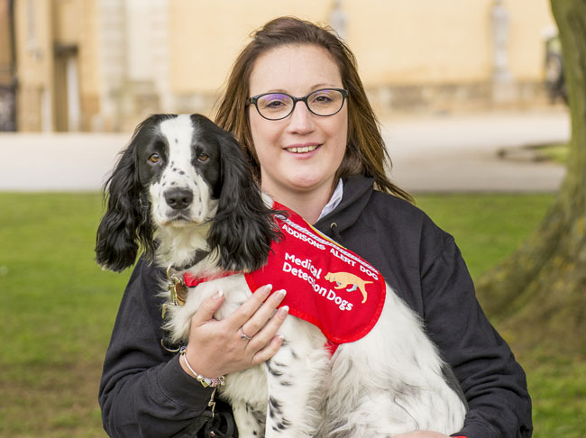 medical support dog