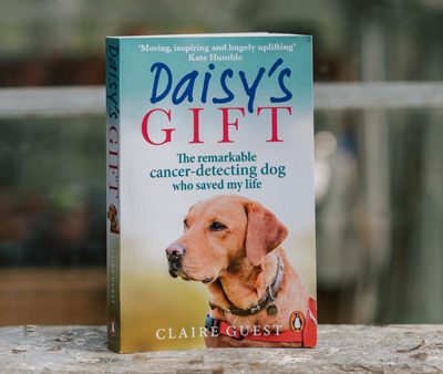 Daisy's Gift Book (Paperback)
