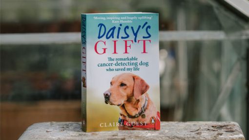 Daisy's Gift Book (Paperback)