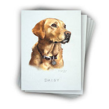 Daisy note cards