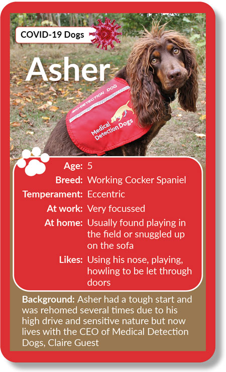 Meet Asher Asher