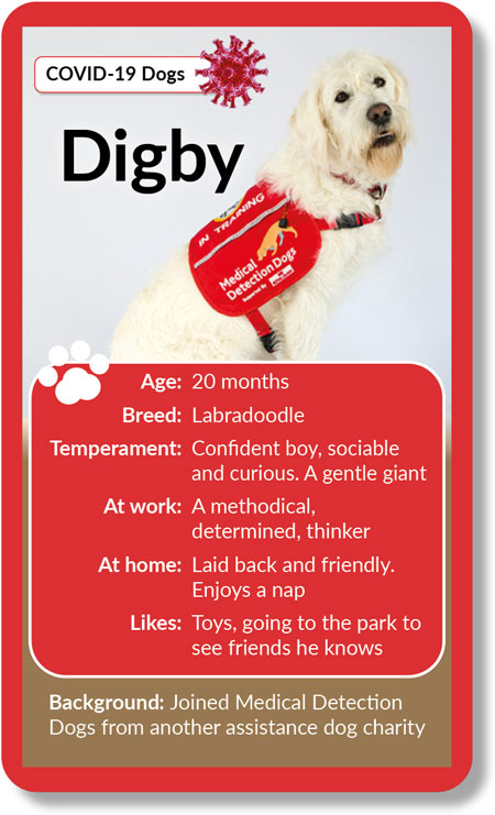 Meet Digby Digby