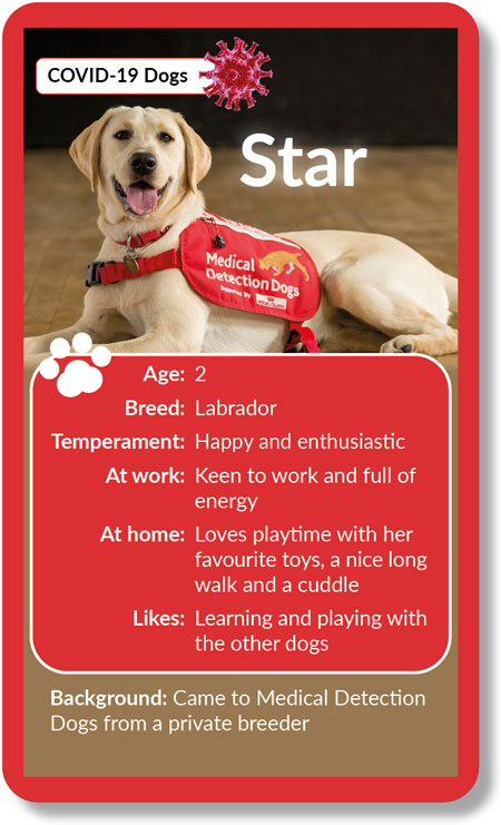 Meet Star Star