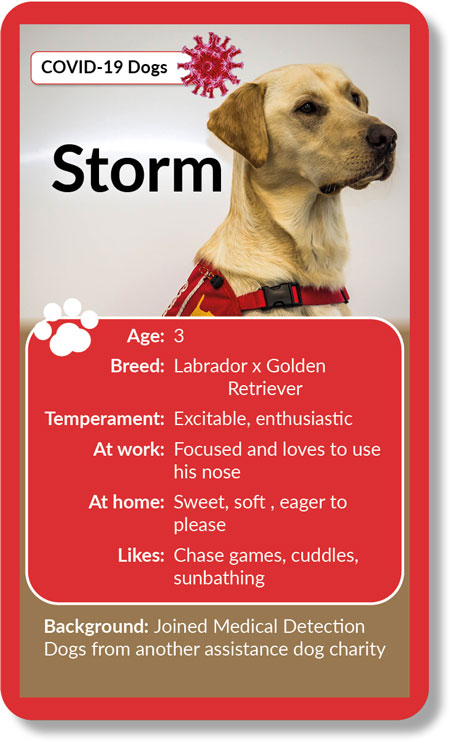 Meet Storm Storm