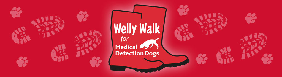 welly_walk_banner_2020_v2_950px