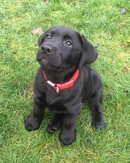 Finn_p2_450px Ernie