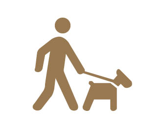 7_dog_walk