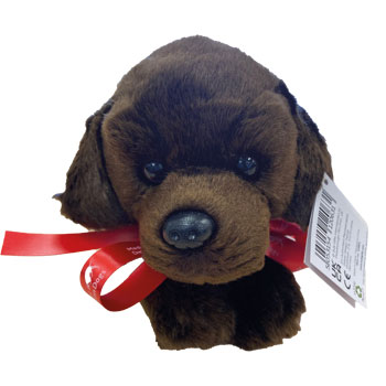 Toy Dog - Brown