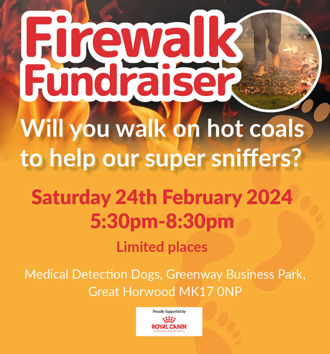 Fire-Walk-poster-2023_v3b_web-650px