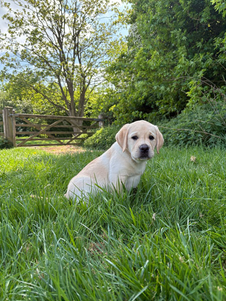 Dover-3-450px Sponsor Nora