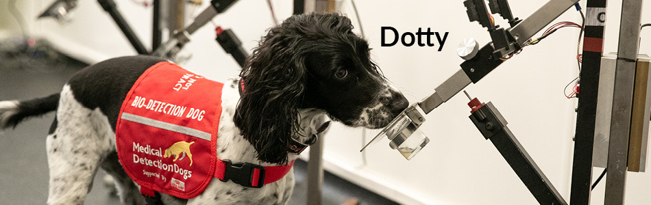 Dotty