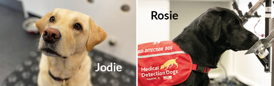 jodie Rosie bowel