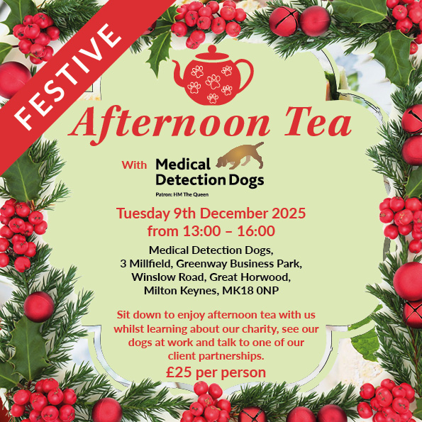 Afternoon tea with mdd